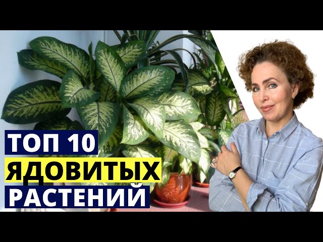 Страница 18 - Цветоводство — общайтесь на форуме BabyBlog