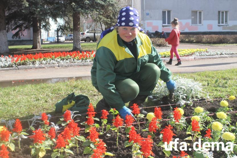 В Ставрополе появится пять новых цветников