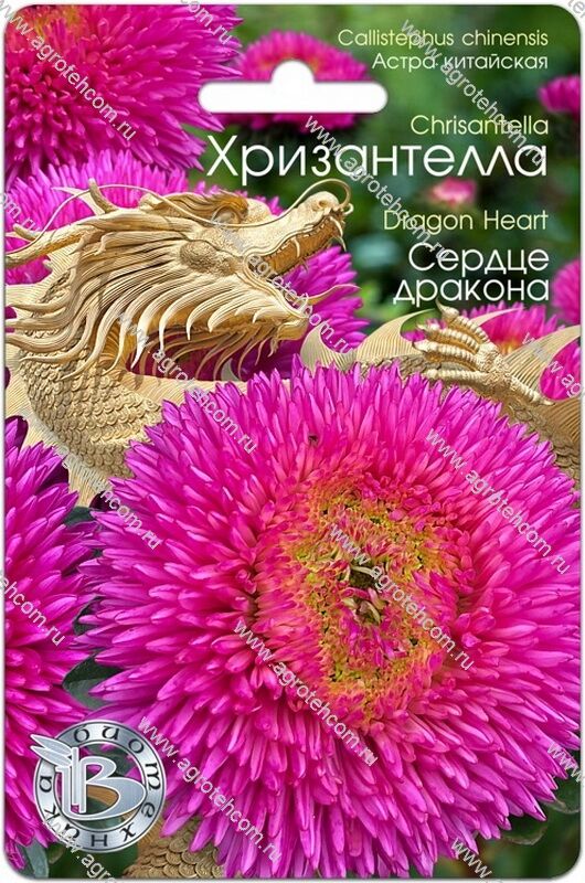 Астра принова КРАСНОЕ ВИНО в интернет магазине совместных покупок