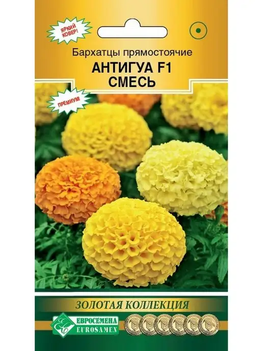 Купить Цв.Бархатцы Antigua Primrose F1 (Григорьев) 5шт ...