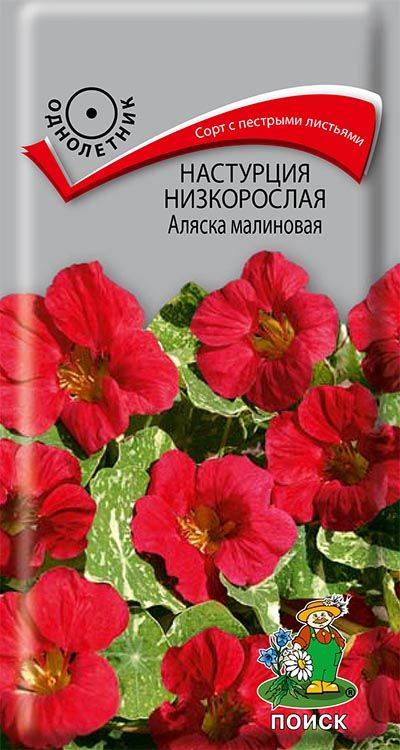 Настурция Аляска лососево-оранжевая 5шт, семена | Купить в ...