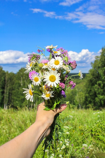 Полевые букеты: купить букет из полевых цветов, купить букет ...