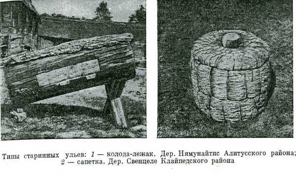 Город ста языков — Газета 