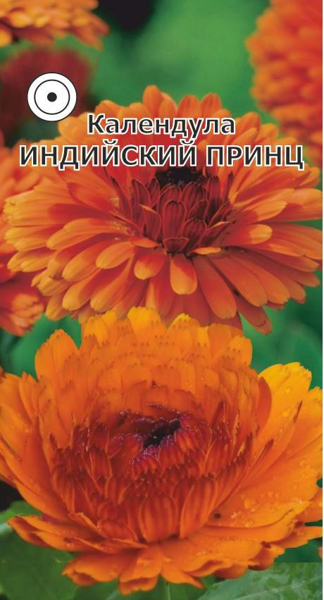 Цветок тубероза в парфюмерии: что это такое, как пахнет, в ...