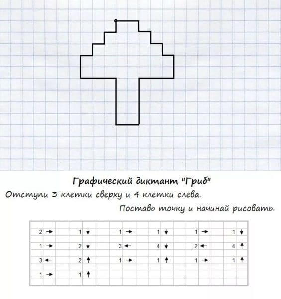 Графические диктанты цветок по ...