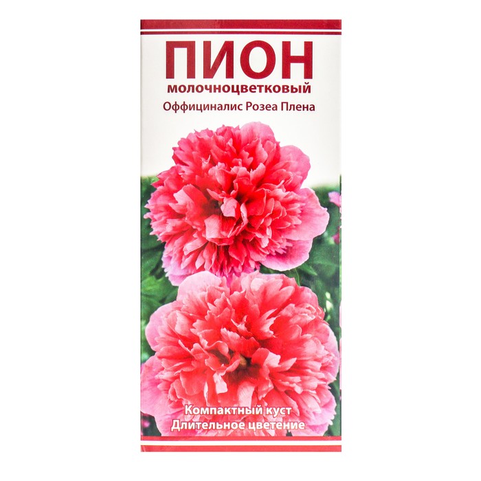 Пион Розеа Плена (Paeonia Rosea Plena ...