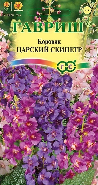 Коровяк, Медвежье ухо, Царский Скипетр (Verbascum thapsus)