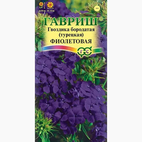 Турецкая гвоздика ( Dianthus barbatus ...