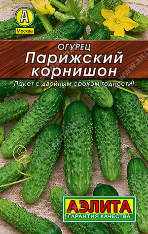 Как вырастить огурцы дома к Новому году: секреты хозяек ...