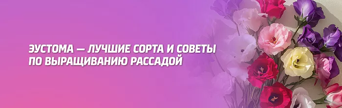 GOUTAL Annick Rose Pompon парфюмированная вода 100 мл ...