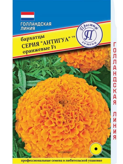 Бархатцы отклоненные Оранжевое пламя (Orange Flame)