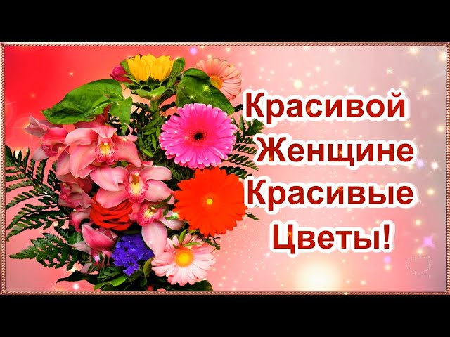 Какие цветы дарить девушке, маме, жене, коллеге, теще на 8 ...