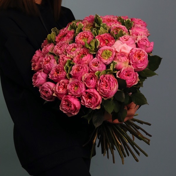 Pink Xpression Roses