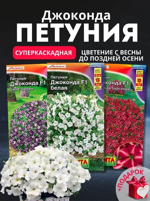 Семена Цветов Настурция 