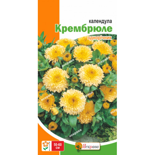 Календула лекарственная - Greenheart - 240 семена - Calendula ...