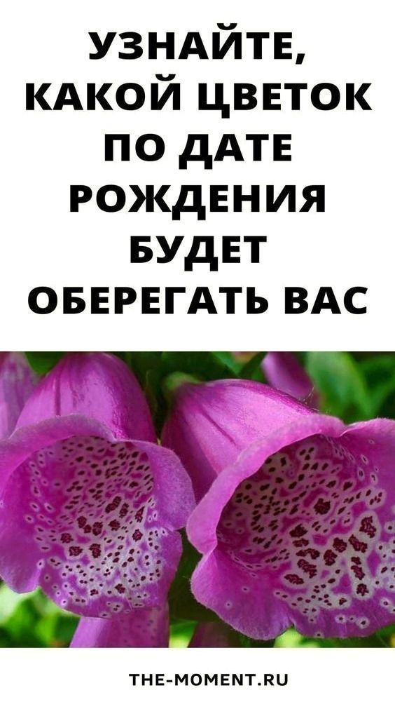 Цветочный гороскоп по дате рождения.А какой вы цветок?