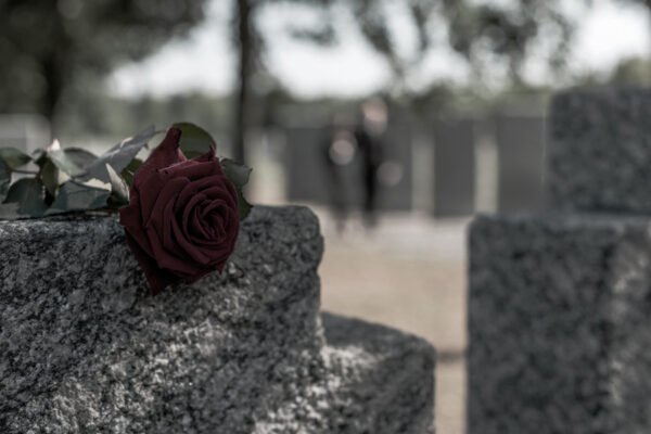 Цветы на похороны, купить в садоводческое некоммерческое ...