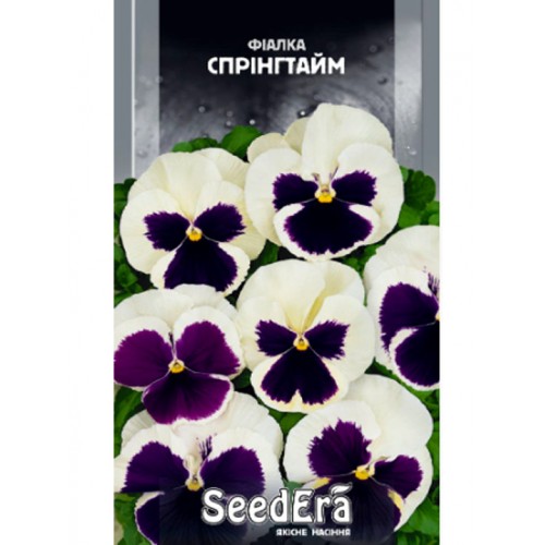 Фиалка садовая, интернет магазин BeautyFlora,неприхотливые ...