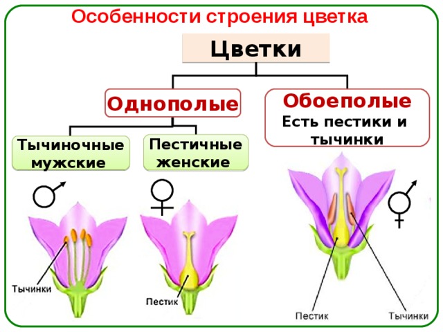 Задание №58563: Установите ...