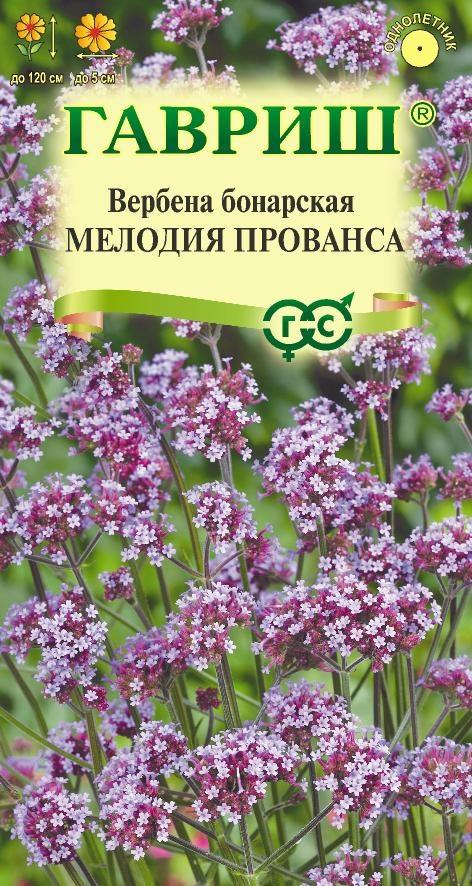 Вербена бонарская Purple Haze 10 шт семян