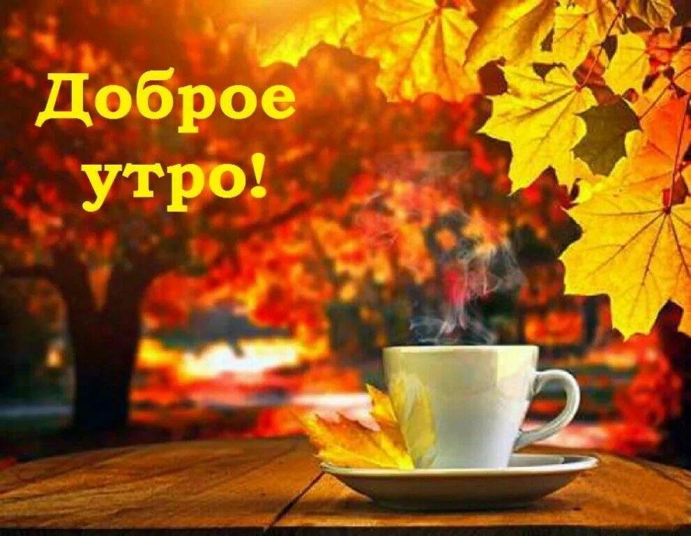 Музыкальные открытки про утро со ...