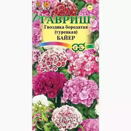 Гвоздика бородатая Dart Purple купить в Барнауле, цены в ...