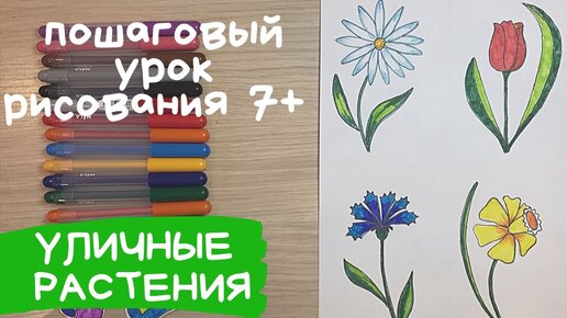 Цветы графика - векторные изображения, Цветы графика картинки ...