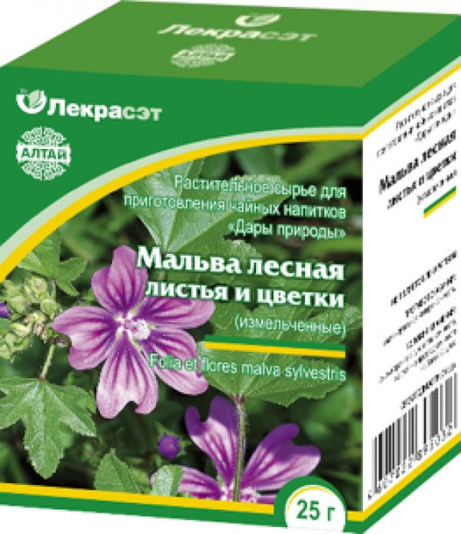 Мальва: лечебные свойства, применение, противопоказания