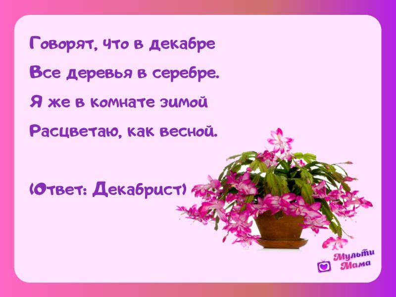 Выращивание рассады цветов и овощей в домашних условиях ...