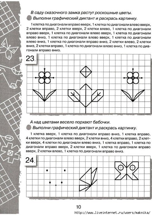 Раскраски Раскраска Графический диктант попугай графический ...