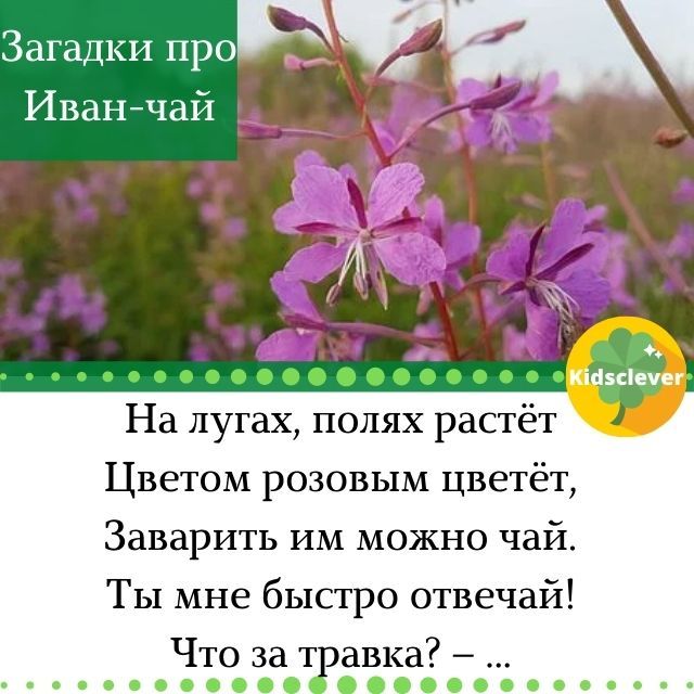 Загадка про бабочку #49791 с ответом