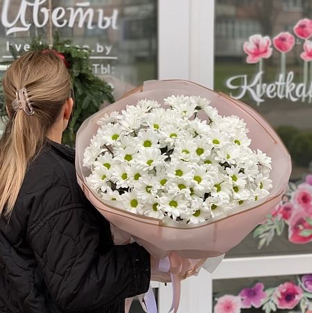 101 ромашка купить с бесплатной доставкой в Москве цены от 20 ...