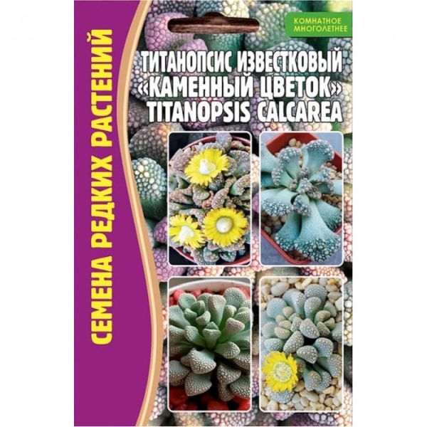 Купить Искусственное растение Gerard de ros Орхидея ...