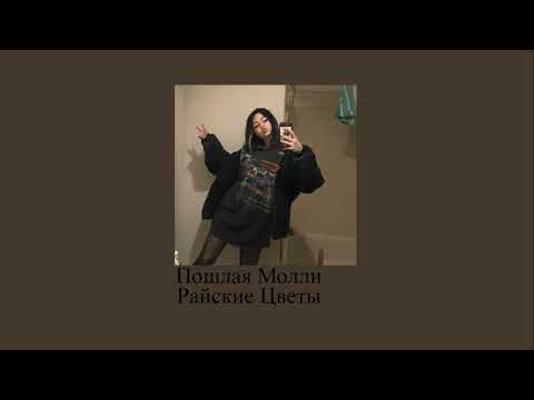 пошлая молли - райские цветы (slowed version 🕸️) - YouTube