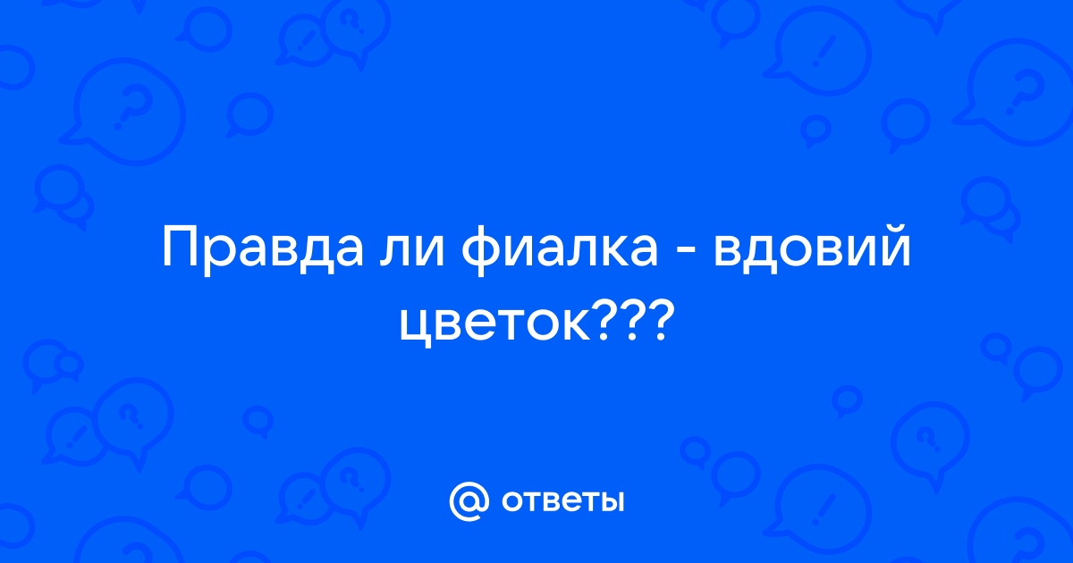 10 домашних растений, которые помогут привлечь любовь и ...