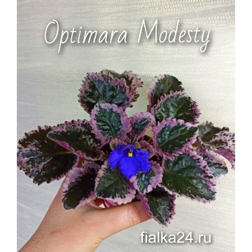 Optimara Smoky Mountain (Holtkamp) • Фиалочный Островок ...