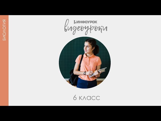 Calaméo - ФГОС Пасечник Биология 5 кл