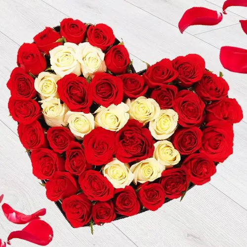 Buy 12 red lovely rose Online at Best ...