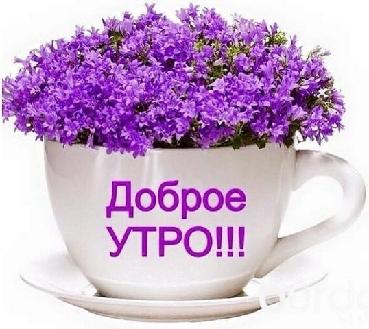 Цветок доброты».