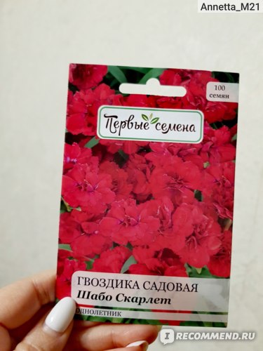 Микс гвоздика кустовая, гвоздика шабо ...