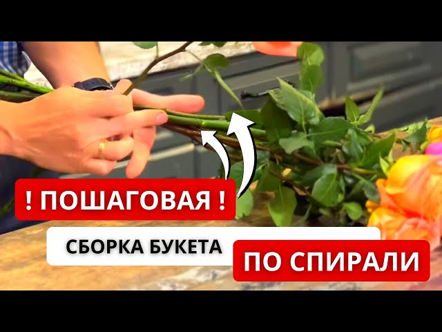 Катя Воробьёва. Канал о природе и ...