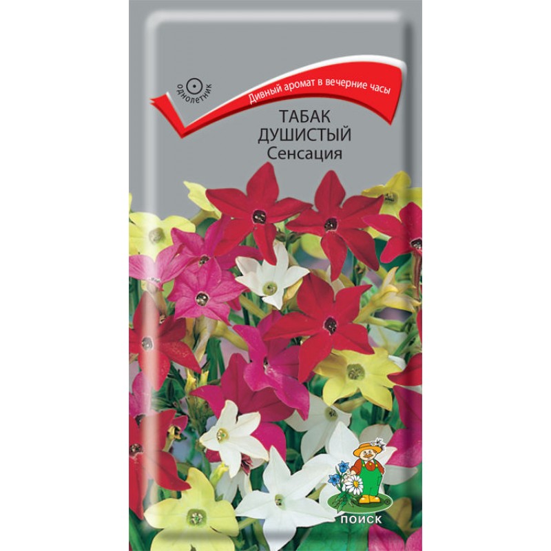 Nicotiana 'Avalon' Mixed - Табак душистый 'Avalon' смесь окрасок