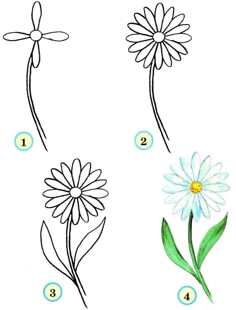 Как нарисовать цветок карандашом поэтапно: легкий способ ...