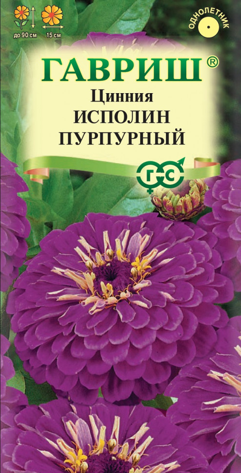 Цинния лилипут СМЕСЬ ОКРАСОК. Цинния. Семена цветов. Интернет ...