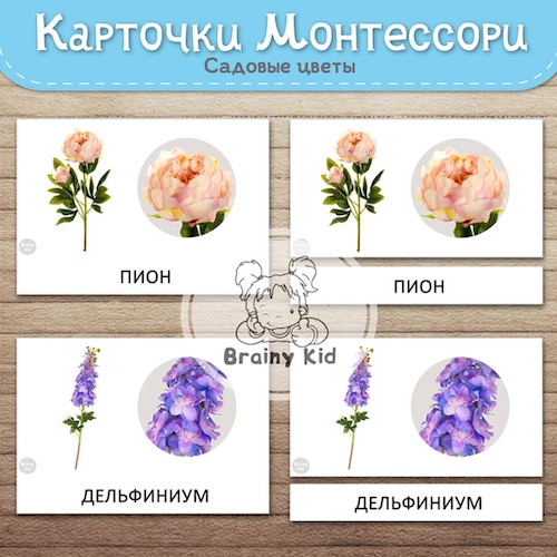 Карточки (европодвес). Садовые цветы