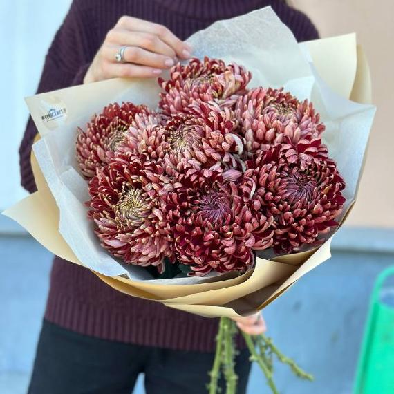 Букет из 5 одноголовых хризантем микс купить в Санкт ...