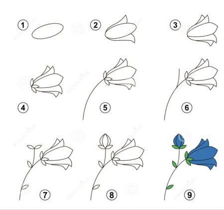 20 забавных способов изобразить цветы. Рисуем колокольчики ...