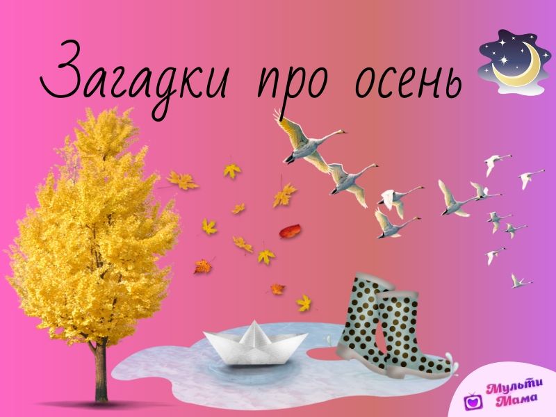 Идеи для сада. Осенние цветы. Что посадить на даче.