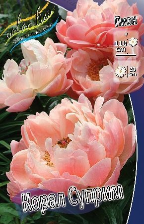 Peony Coral Supreme – Floret Library