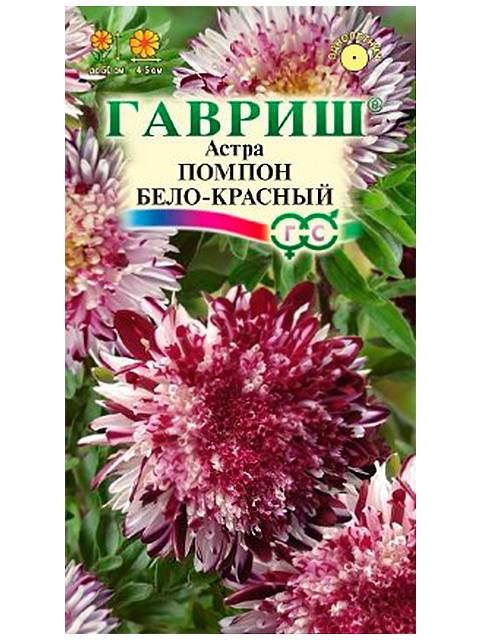 Клеродендрум уход в домашних условиях, фото | Блог магазина ...